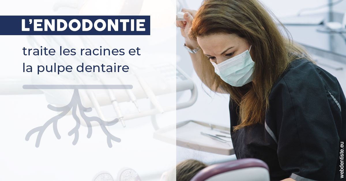 https://www.dr-deck.fr/L'endodontie 1