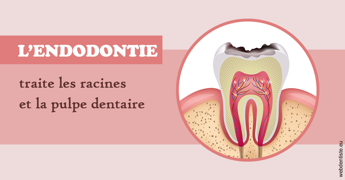 https://www.dr-deck.fr/L'endodontie 2