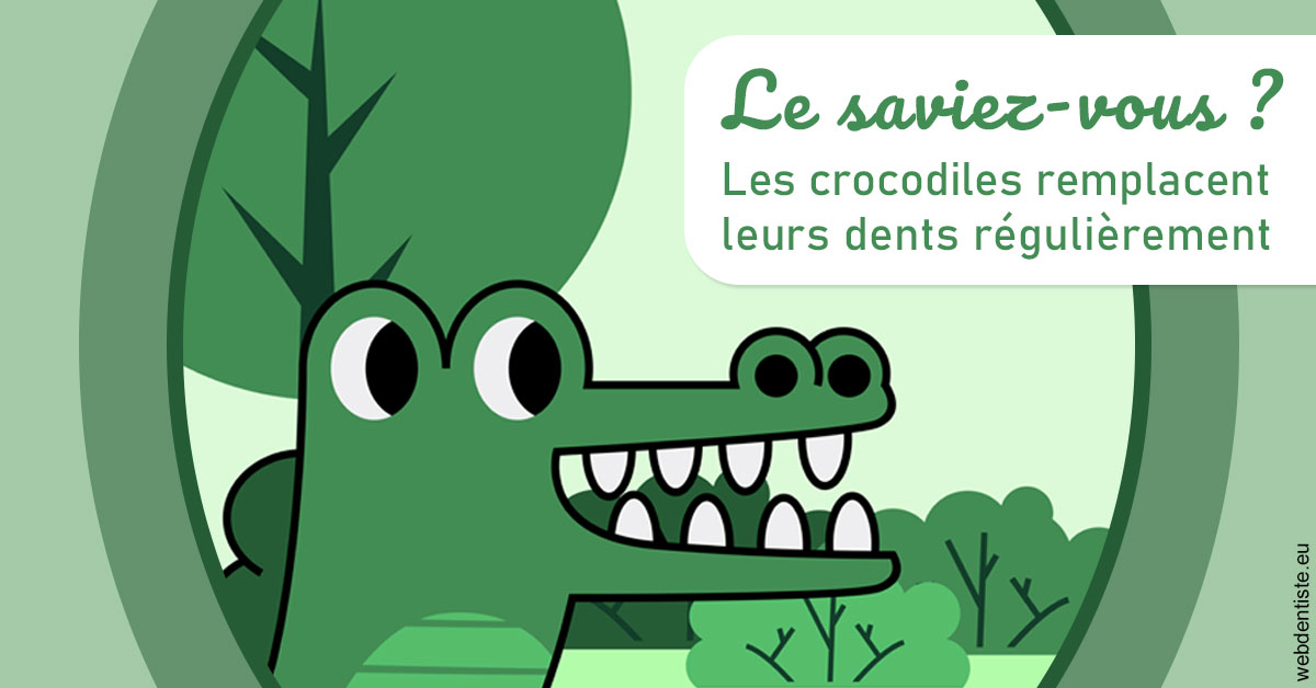 https://www.dr-deck.fr/Crocodiles 2