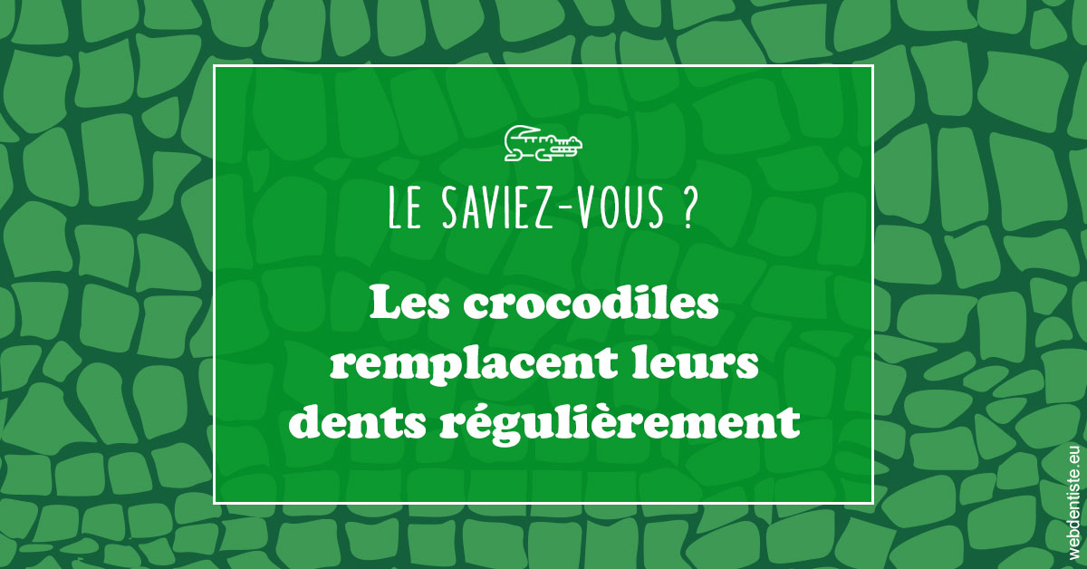 https://www.dr-deck.fr/Crocodiles 1